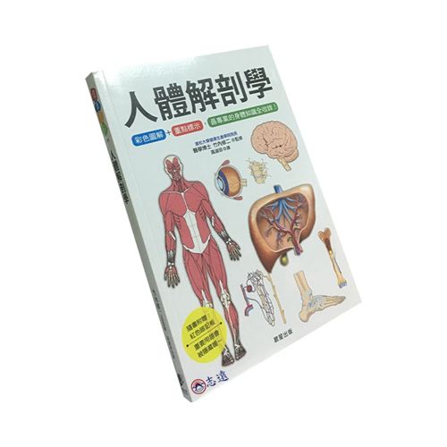 人體解剖學