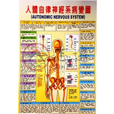 人體自律神經系病變圖