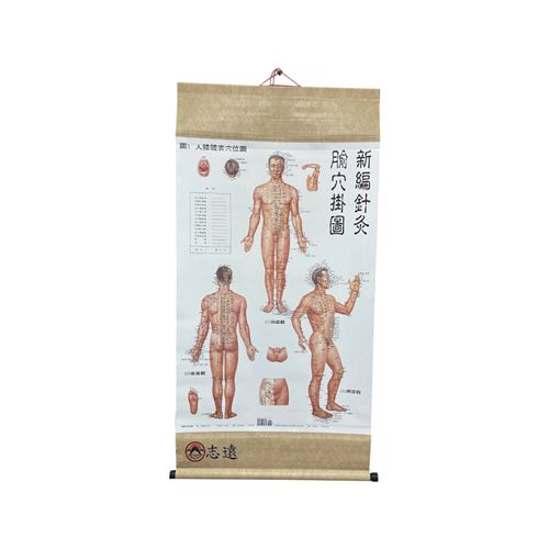 新編針灸腧穴掛圖-小(1套4張)