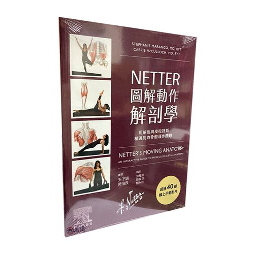 NETTER 圖解動作解剖學