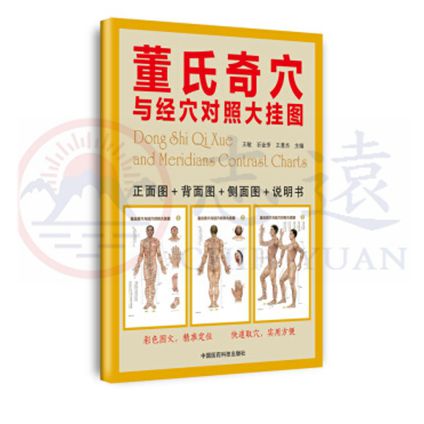 董氏奇穴與經穴對照大掛圖/正面圖+背面圖+側面圖+說明書