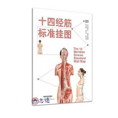 十四經筋標準掛圖(每套6張)