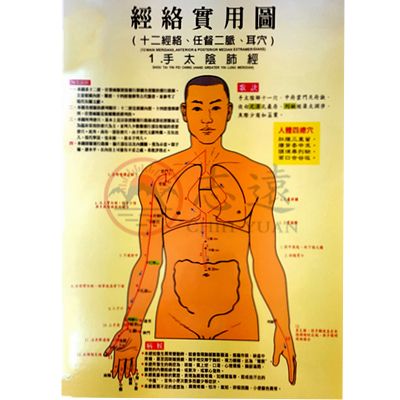 經絡實用套圖(1套7張雙面)