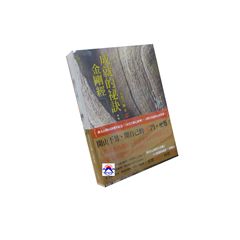 星雲大師心經典套裝典藏版(共二冊)