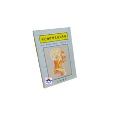 彩色袖珍針灸經穴手冊