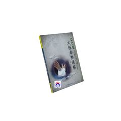 太極密碼3:太極拳勢通解