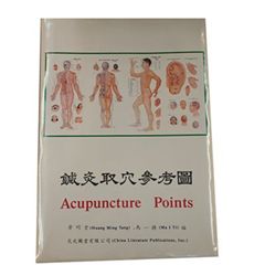 鍼灸取穴參考圖(1套4張)