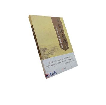 杏林碎金錄:30年皮外科秘典真傳