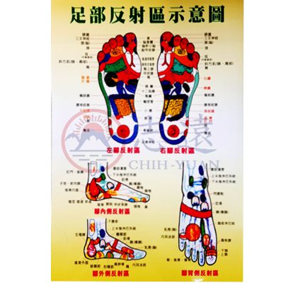 足部反射區示意圖