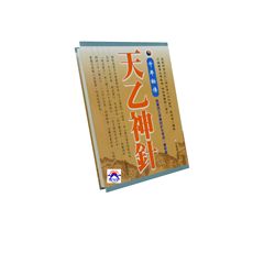 千年秘傳:天乙神針